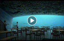 ویدیو غذا خوردن انسانها زیر آب 226x145 - ویدیو/ غذا خوردن انسانها در زیر آب