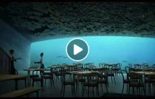 ویدیو/ غذا خوردن انسانها در زیر آب