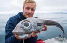 صید ماهی عجیب الخلقه در سواحل ناروی + تصاویر