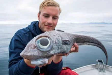 صید ماهی عجیب الخلقه در سواحل ناروی + تصاویر