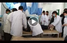 ویدیو/ انتقال مجروحین انفجار در پوهنتون غزنی به شفاخانه مرکزی