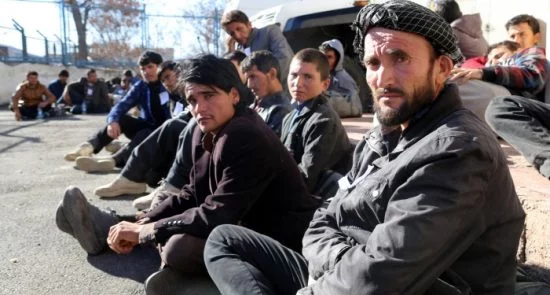 ایجاد فرصت‌های کاری برای افغان‌ها در ترکیه