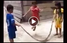 ویدیو/ بازی اطفال شجاع با مار