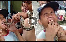 ویدیو/ عاقبت شوخی چند نوجوان اندونزیایی با مار