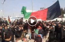 ویدیو/ جشن و شادی باشنده گان کابل به بهانه بازگشت حسین‌بخش صفری