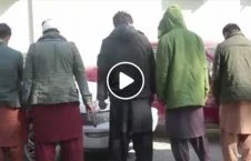 ویدیو/ دستگیری صدها مجرم توسط پولیس کابل