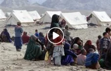 ویدیو/ هشدار وزارت مهاجرین از وضعیت بد بیجا شده گان داخلی