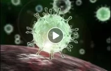 اولین ویدیو از ویروس کرونا