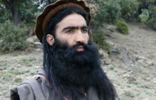 شهریار محسود 226x145 - کشته شدن یکی از رهبران ارشد طالبان پاکستانی در ولایت کنر