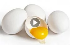ویدیو/ چند ایده بسیار جالب توسط تخم مرغ