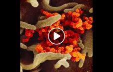 ویدیو/ تصاویری جدید از ویروس کرونا