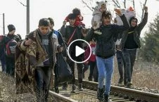 ویدیو/ روایتی از میان درگیری‌ها در سرحد یونان