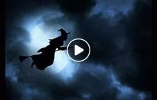 ویدیو/ کمره مخفی ترسناک جادوگر پرنده