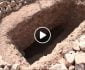 ویدیو/ والی هرات مصروف قبر کندن است!