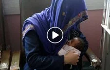 ویدیو/ درخواست ده‌ها زن و مرد برای به فرزندی گرفتن نوزادان حادثه دشت برچی کابل