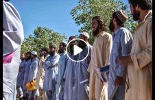 ویدیو والی دایکندی طالبان آزاد 226x145 - ویدیو/ درخواست والی دایکندی از طالبان آزاد شده