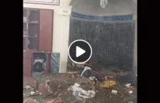 ویدیو/ تصاویری دردناک از انفجار در مسجد شیرشاه سوری کابل
