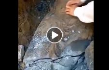 ویدیو تخریب آثار باستانی بت‌پرستی 226x145 - ویدیو/ تخریب آثار باستانی افغانستان به بهانه مبارزه با بت‌پرستی!