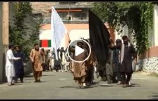 ویدیو/ با شوی طالبان و داعشیان افغانستان آشنا شوید!