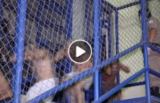 ویدیو تصاویر زندان خطرناک جهان 226x145 - ویدیو/ تصاویری از زندان یکی از خطرناک ترین کشورهای جهان