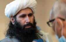 محمد نعیم 226x145 - نشست خبری طالبان در پیوند به مخالفت ها با بازگشت دوباره امارت اسلامی