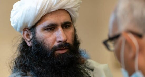 محمد نعیم 550x295 - نشست خبری طالبان در پیوند به مخالفت ها با بازگشت دوباره امارت اسلامی