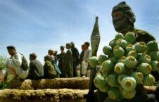 افغانستان، جولانگاه تولید کننده گان مواد مخدر پس از روی کار آمدن طالبان