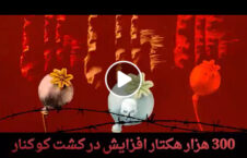 ویدیو/ دستاورد حضور خارجی ها در افغانستان