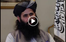 ویدیو/ سخنان سخنگوی دفتر سیاسی طالبان درباره روند مذاکرات صلح