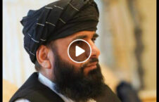 ویدیو سهیل شاهین مذاکرات بین الافغانی 226x145 - ویدیو/ سخنان سهیل شاهین در پیوند به آغاز مذاکرات بین الافغانی