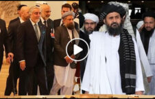 ویدیو/ موانع صلح از زبان عضو هیأت مذاکره‌کننده‌ دولت افغانستان