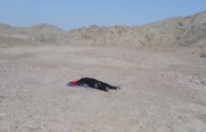 جسد زن پکتیکا 226x145 - تصویر/ کشف جسد یک زن در پکتیکا