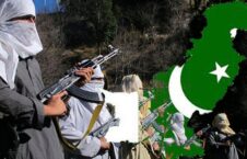 طالبان پاکستان 226x145 - عامل اصلی عدم تحقق صلح در افغانستان از دیدگاه معاون پیشین یونما در کابل
