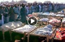 ویدیو جنایات طالبان هفته 226x145 - ویدیو/ آمار جنایات طالبان در دو هفته اخیر