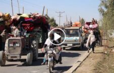 ویدیو جنگ طالبان بیجا شده هلمند 226x145 - ویدیو/ جنگ طالبان و شرایط وخیم بیجا شده گان هلمند