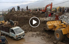 ویدیو/ دزدی والی ولایت پروان از کمک های سیلاب زدگان