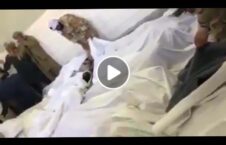 ویدیو قتل شبانه نیرو امنیتی طالبان 226x145 - ویدیو/ قتل شبانه نیروهای امنیتی توسط طالبان