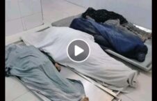 ویدیو مرگ زنان ویزه پاکستان جلال آباد 226x145 - ویدیو/ مرگ دردناک زنان افغان در هنگام توزیع ویزه پاکستان در جلال آباد