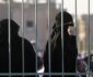 عدالت سعودی؛ لایک کردن در عربستان ۱۵ سال زندان دارد!