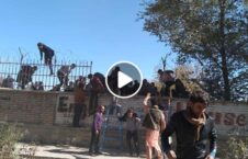 ویدیو محصلین حمله پوهنتون کابل 226x145 - ویدیو/ لحظه فرار محصلین پس از حمله به پوهنتون کابل