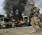 جنگ در افغانستان؛ آب‌ گل‌آلود برای ماهی‌گیری شرکت های خارجی