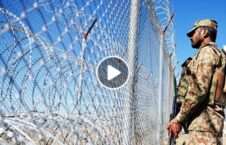 ویدیو/ حمایت نیروهای امنیتی پاکستان از طالبان