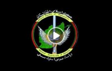 ویدیو/ والی نام‌نهاد طالبان برای کابل در بند نیروهای امنیت ملی