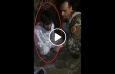 ویدیو طالب ماین کابل 226x145 - ویدیو/ بازداشت یک طالب ماین گذار در کابل