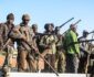 حمله تروریست‌ها به افراد ملکی در نیجر