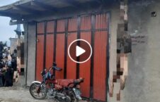 ویدیو/ به دارآویختن جسد دو طالب در کاپیسا