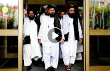 ویدیو انتقاد والی لوگر دروغ طالبان 226x145 - ویدیو/ انتقاد والی لوگر از دروغ گویی طالبان
