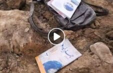 ویدیو شعر خوانی سیدالشهداء کابل 226x145 - ویدیو/ شعر خوانی یکی از بازمانده گان حمله بر مکتب سیدالشهداء کابل