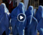 ویدیو/ دره زدن یک زن توسط طالبان در ولایت هرات