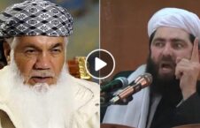 ویدیو/ انتقاد شدید مجیب الرحمن انصاری از اسماعیل خان